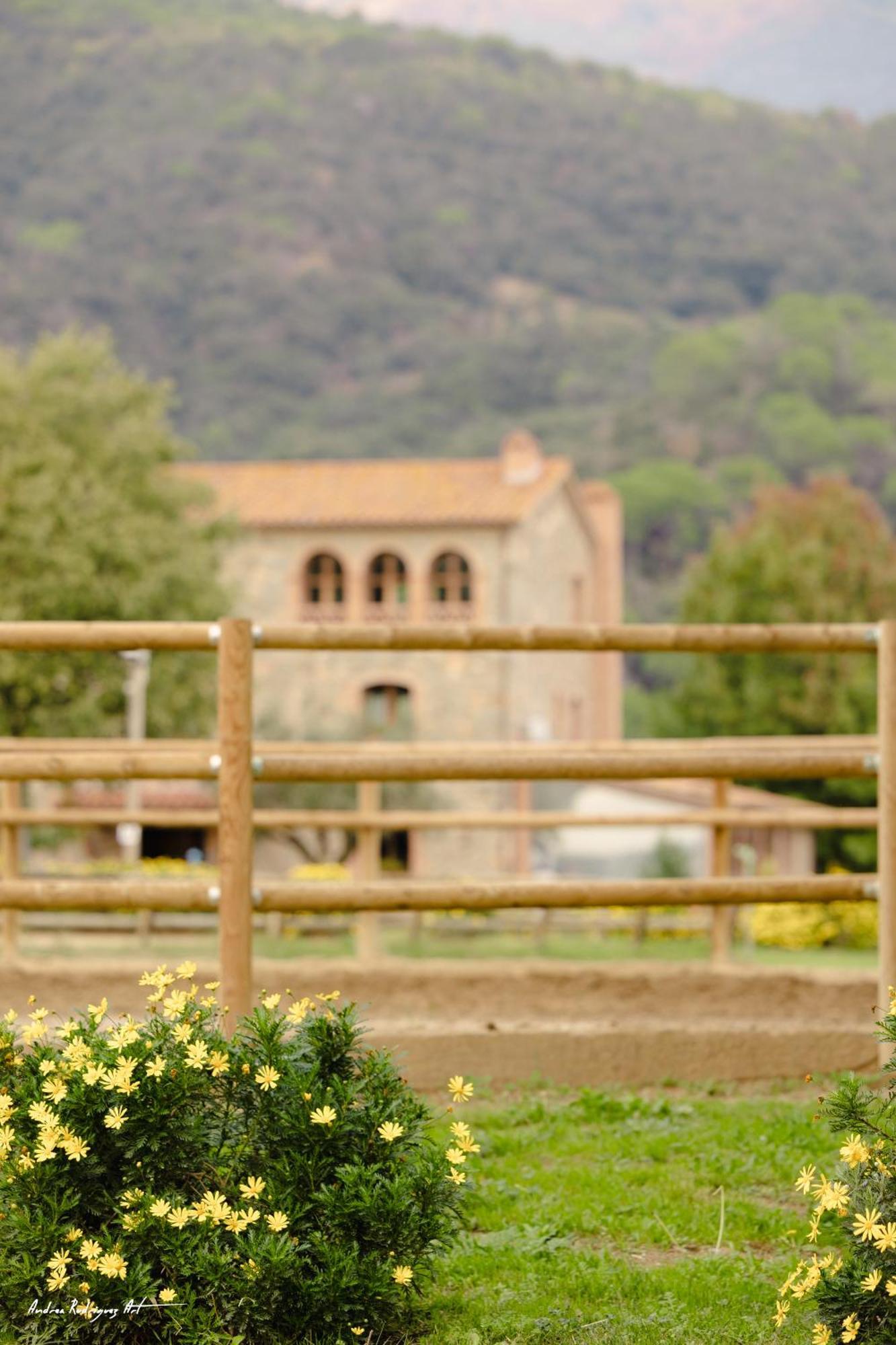 Hotel Rural Can Vila Sant Esteve De Palautordera Dış mekan fotoğraf