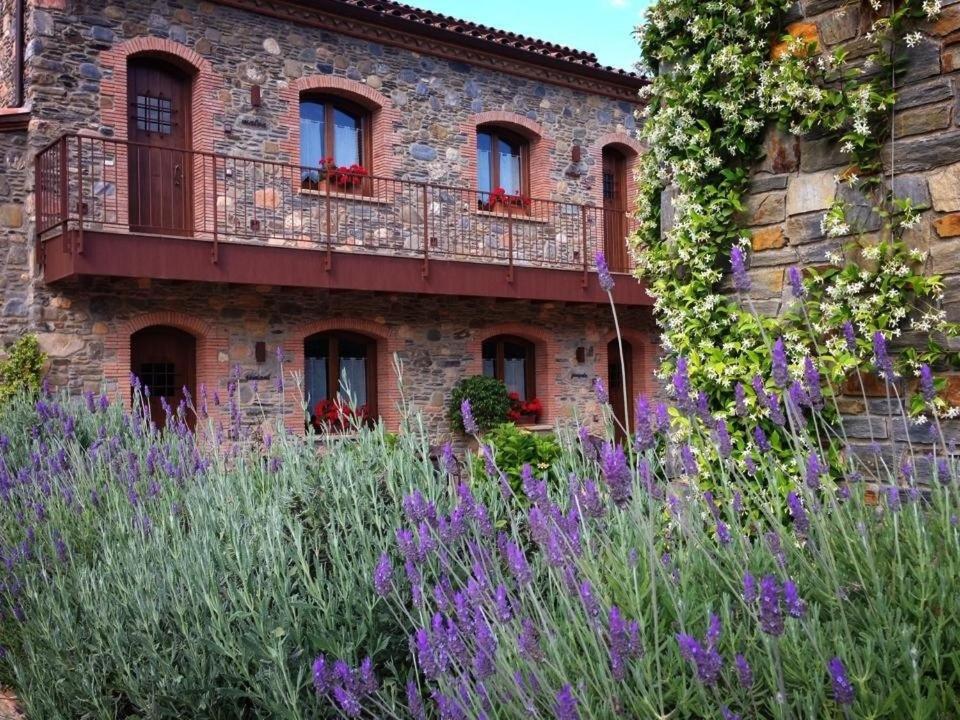 Hotel Rural Can Vila Sant Esteve De Palautordera Dış mekan fotoğraf